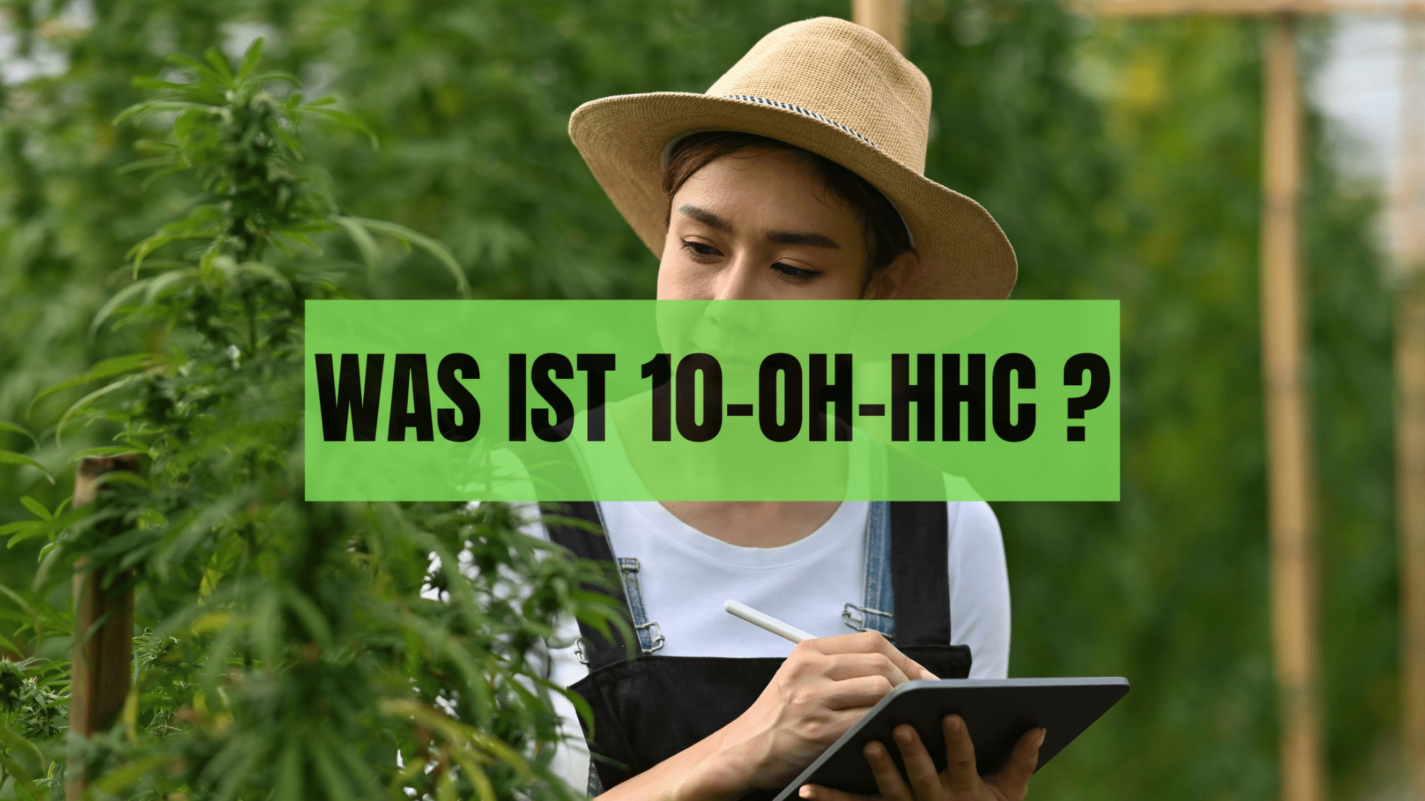 Was ist 10-OH-HHC?