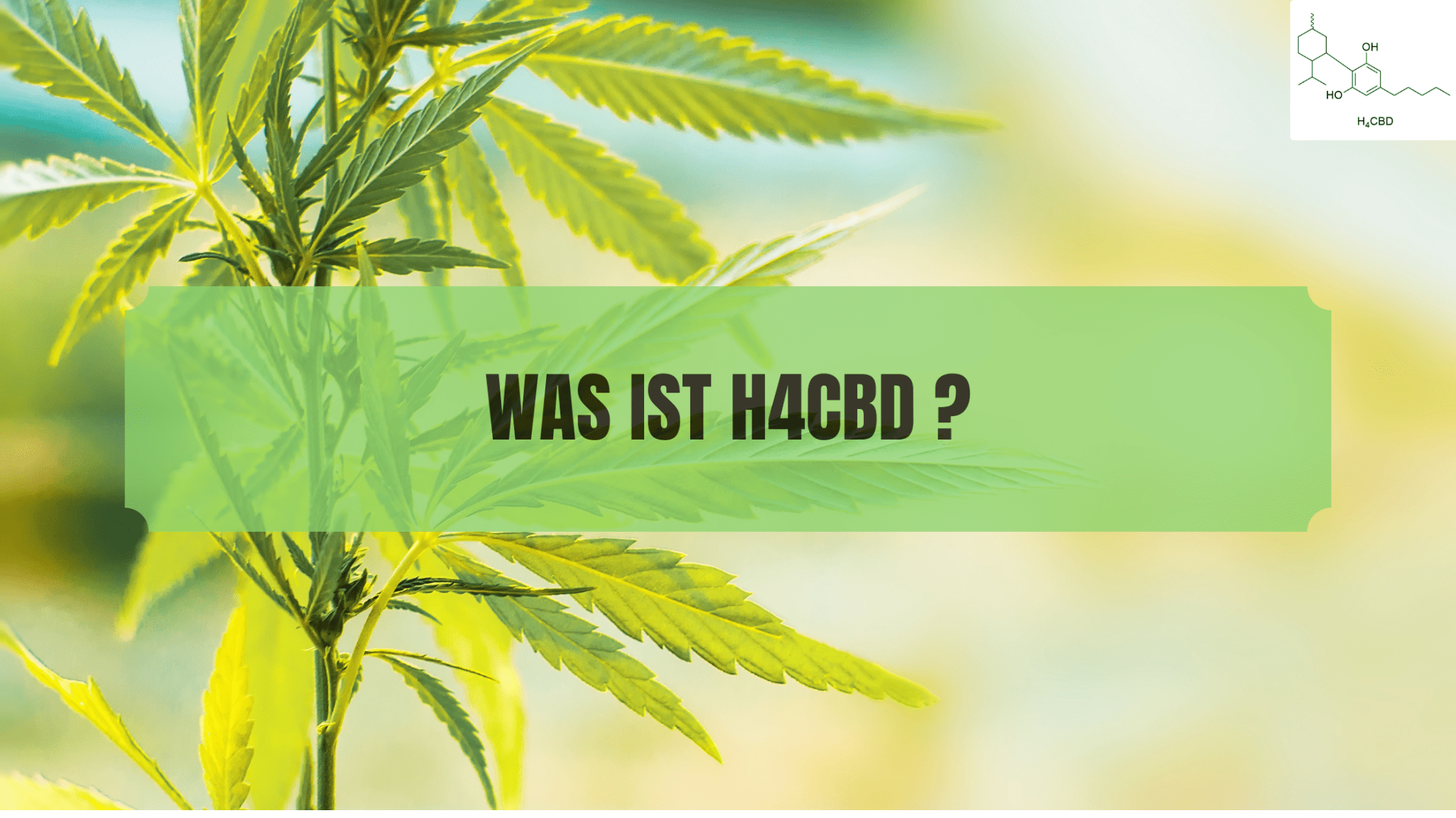 Was ist H4CBD?