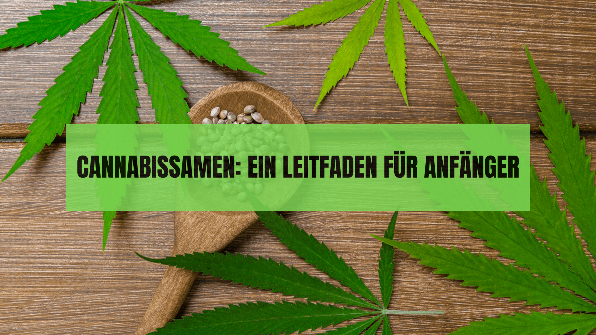 Cannabissamen: Ein Leitfaden für Anfänger