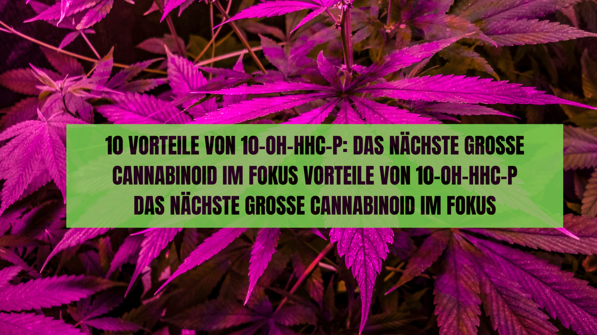 10 Vorteile von 10-OH-HHC-P: Das nächste große Cannabinoid im Fokus