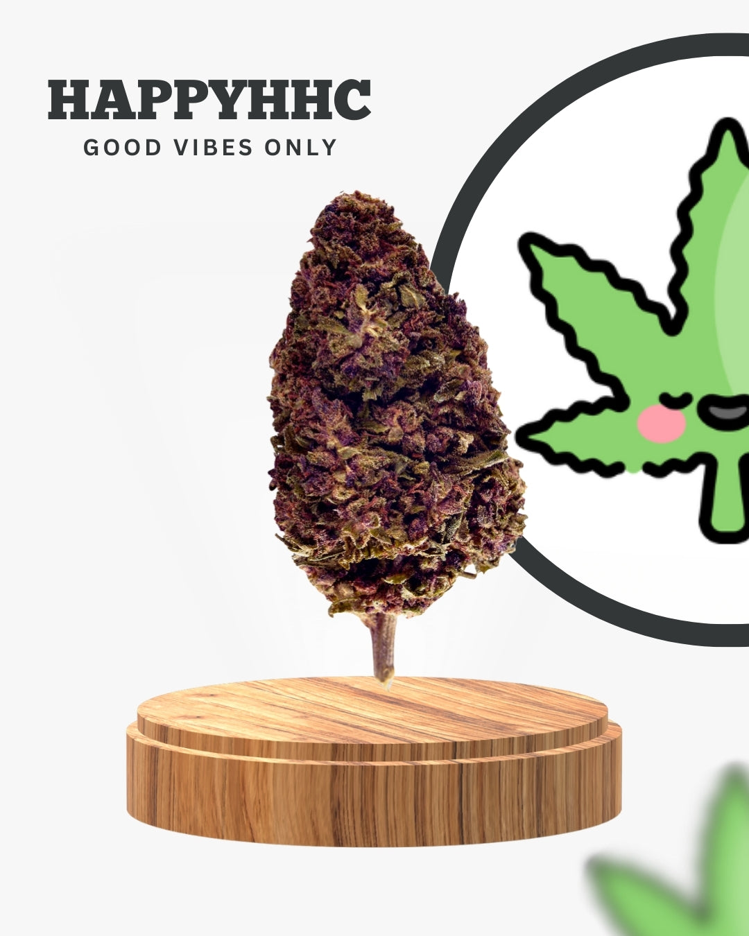 10-OH-HHC Blüten in Premium Qualität | Happyhhc® 10 OH HHC Blüten von uns für Dich- Entspannung und Wohlbefinden