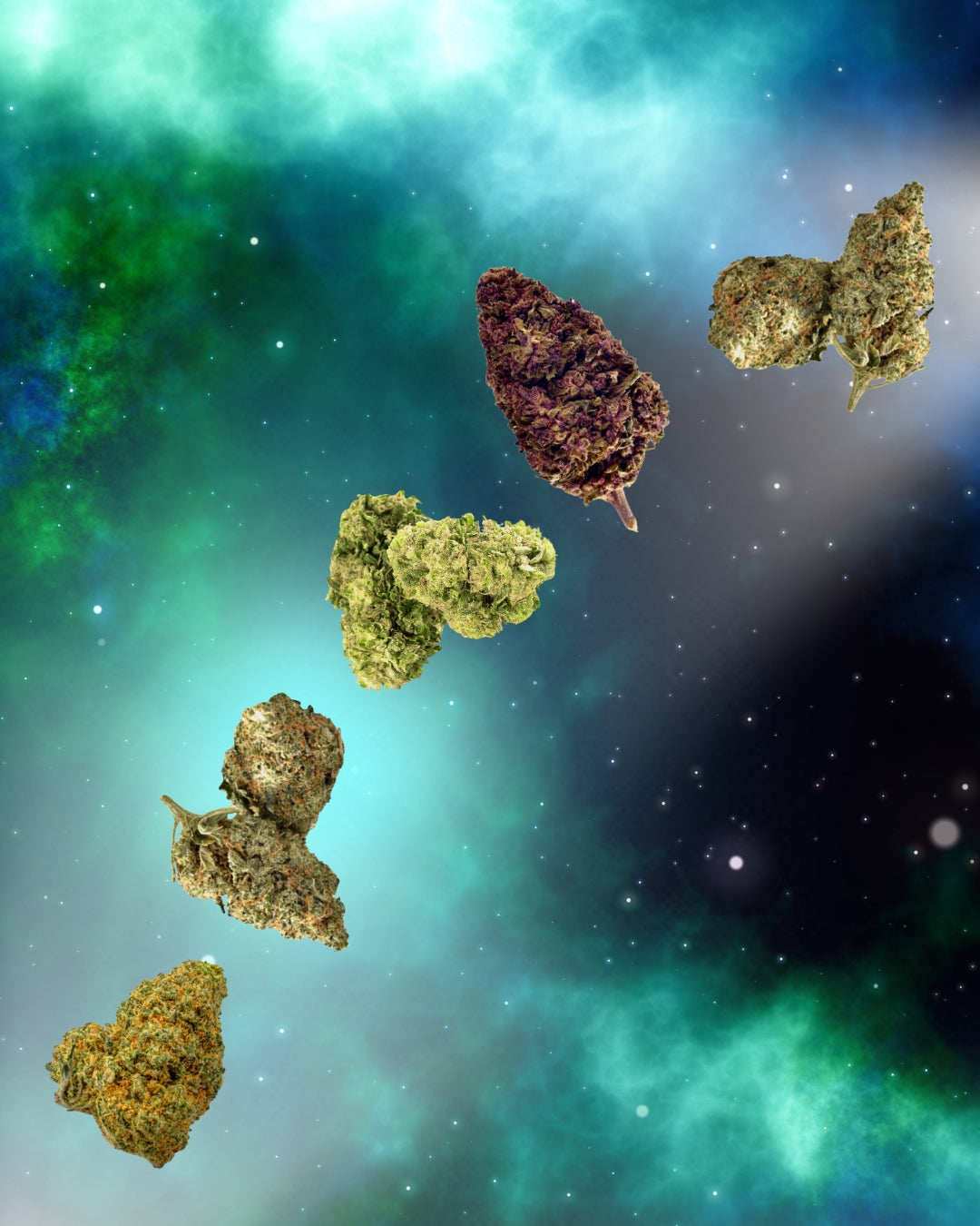 10-OH-HHC Blüten in Premium Qualität | Happyhhc® dein 10 OH HHC Blüten Online Shop