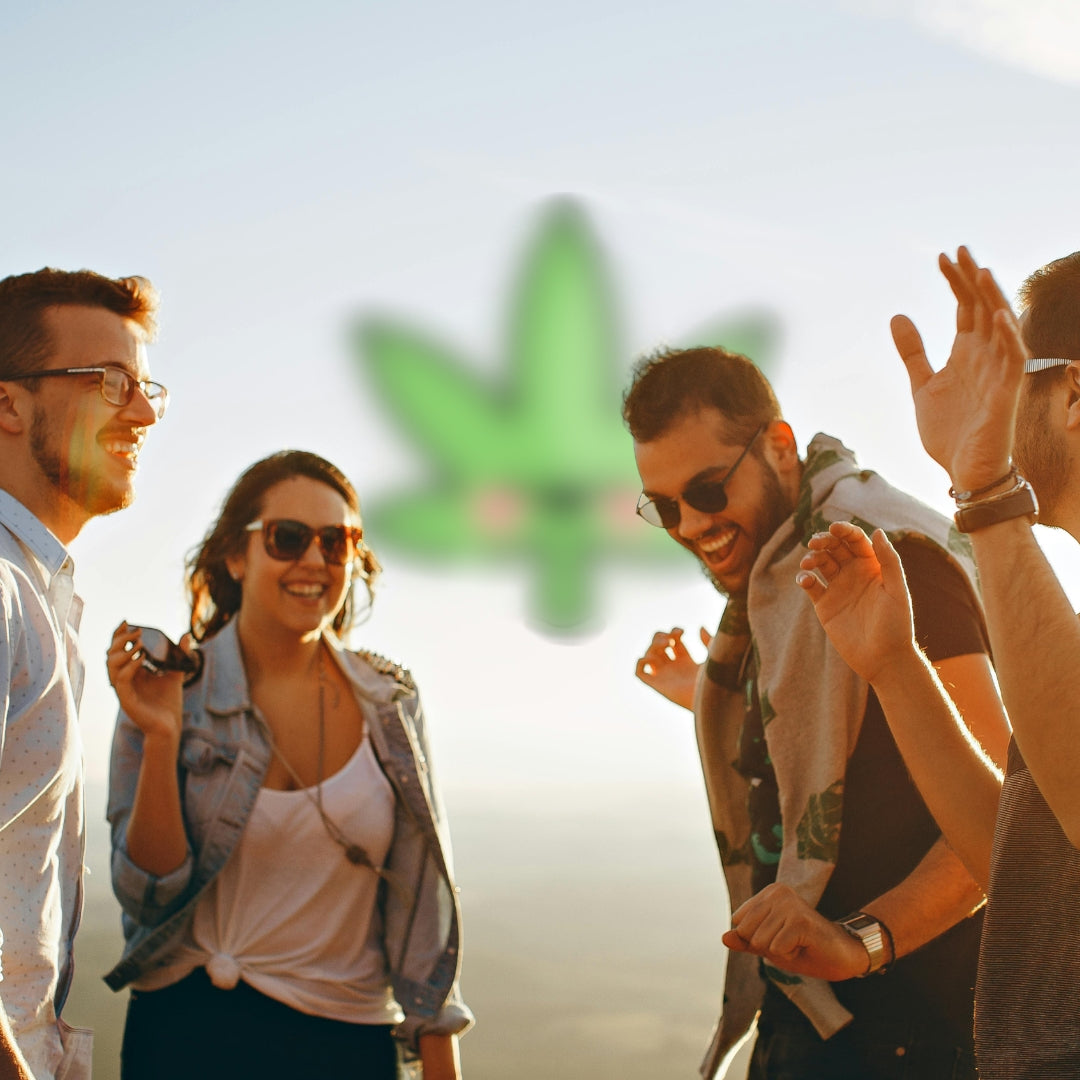 CBD Blüten günstig kaufen in Top Qualität | Wieso Du CBD Blüten in deinen Alltag integrieren solltest