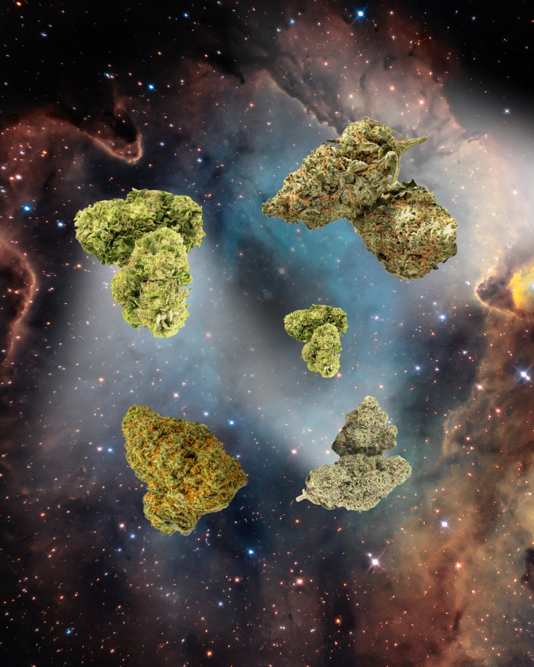 CBD Blüten günstig kaufen in Top Qualität | CBD Blüten von HappyHHC sind die richtige Wahl