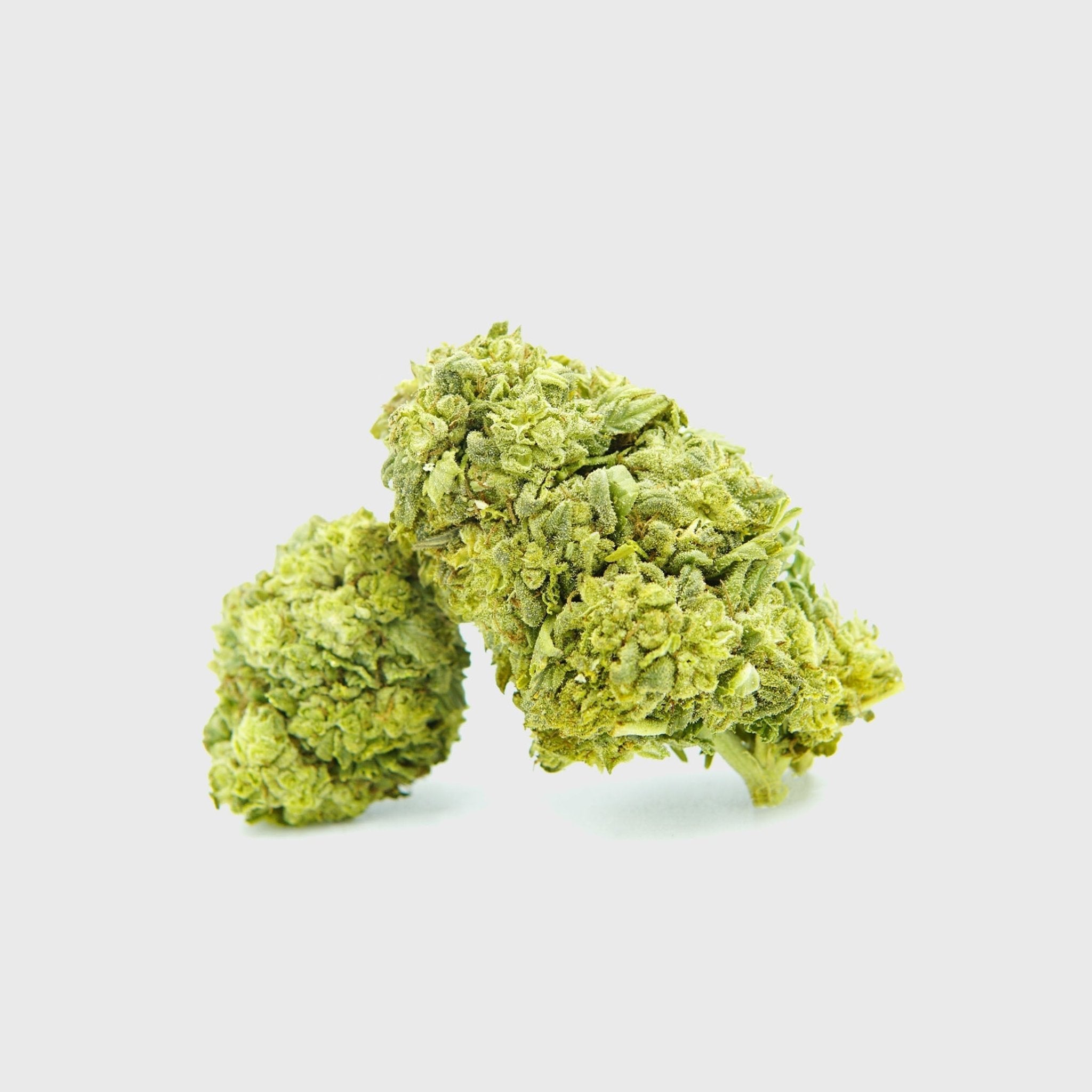 Frosted Cookies 55%  HHC Sorte