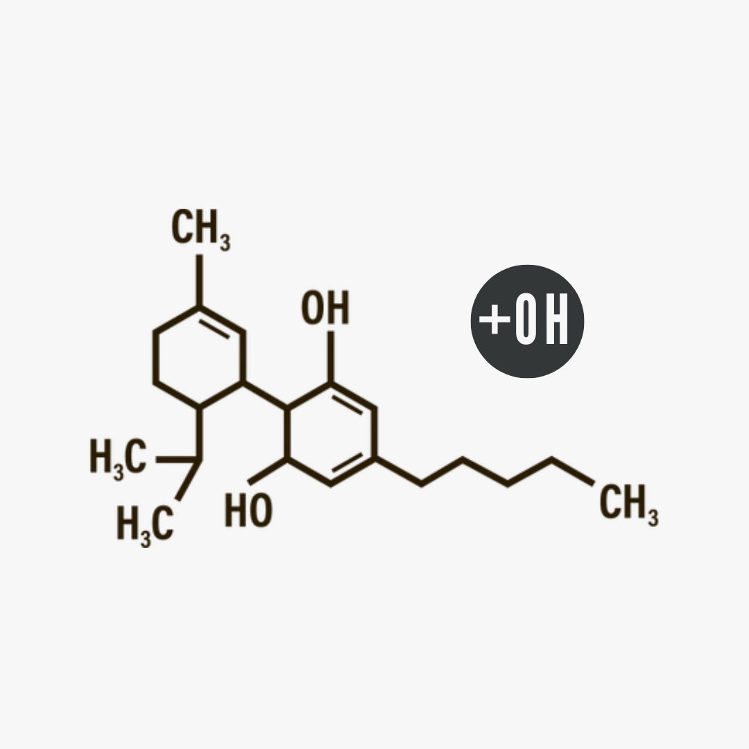 10-OH-HHC Blüten in Premium Qualität | Happyhhc® was ist 10 OH HHC