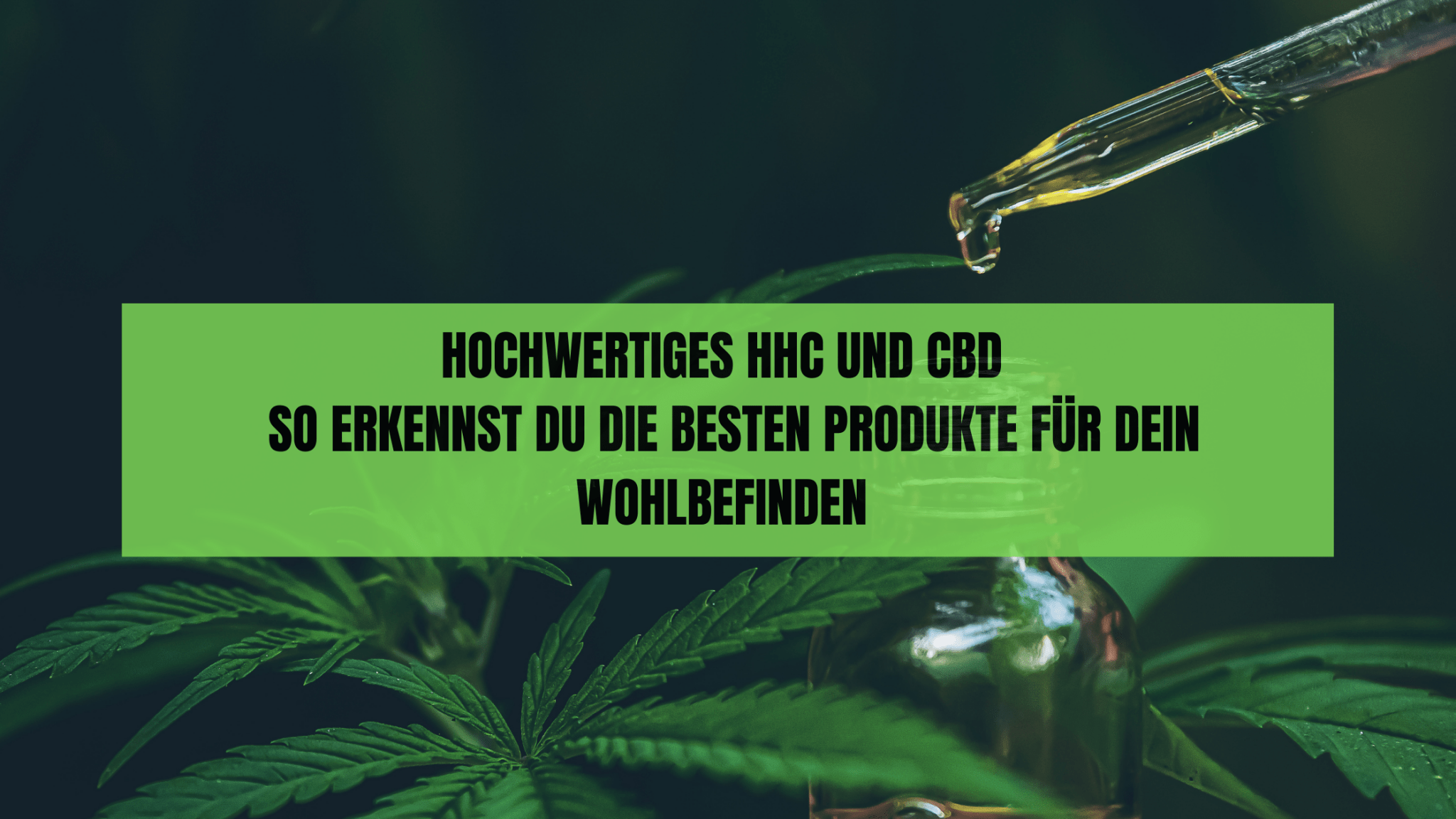 •	HHC und CBD Blüten im Vergleich 	•	CBD-Produkt mit natürlichem Hanfduft 	•	Anwendung von CBD-Öl mit Pipette 	•	Vergleich von HHC und CBD Produkten