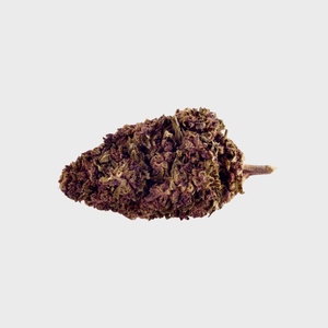 Purple Haze 1oHC Blüte
